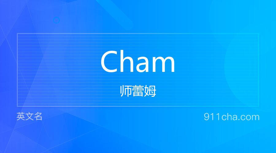 Cham 师蕾姆