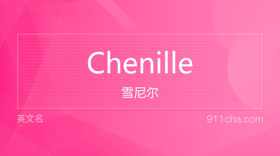 Chenille 雪尼尔