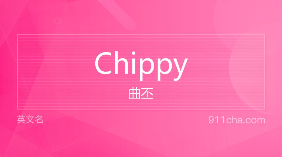 Chippy 曲丕