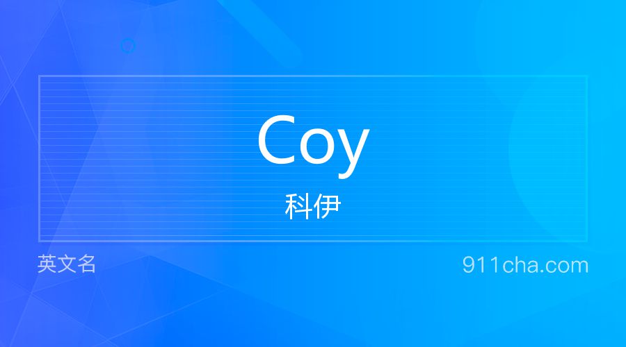 Coy 科伊