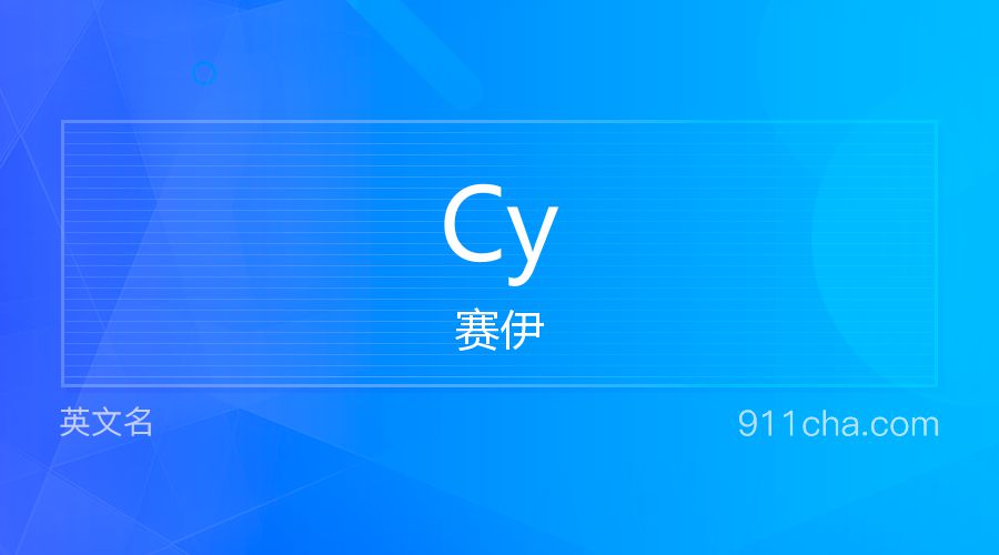 Cy 赛伊