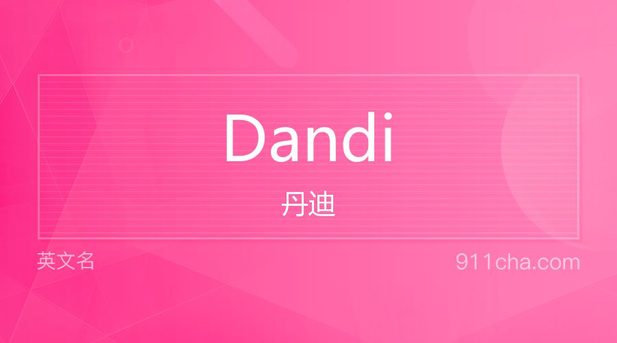 Dandi 丹迪