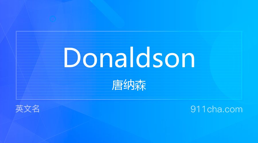 Donaldson 唐纳森