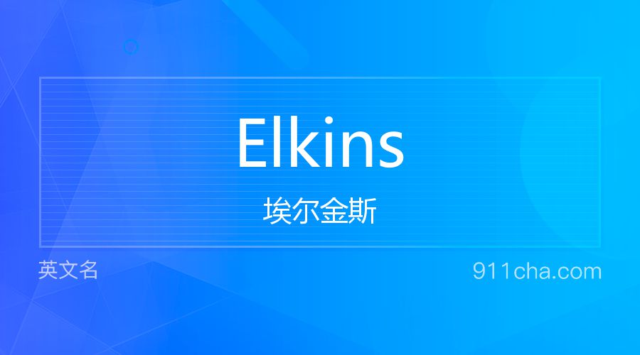 Elkins 埃尔金斯