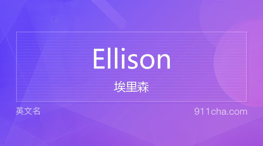 Ellison 埃里森