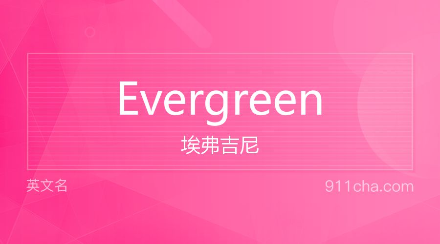 Evergreen 埃弗吉尼