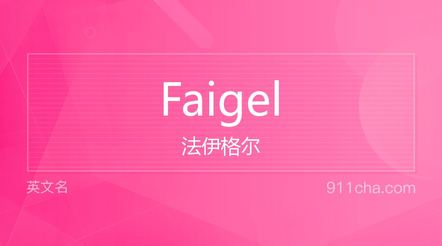 Faigel 法伊格尔