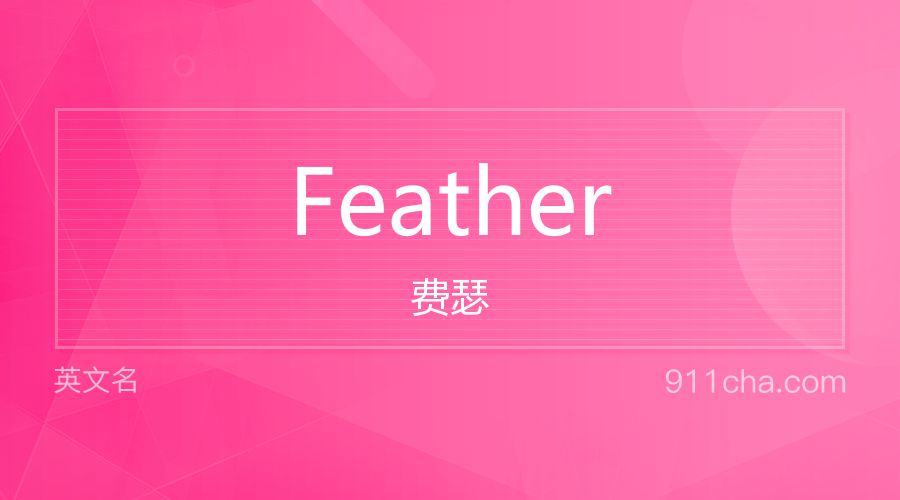 Feather 费瑟