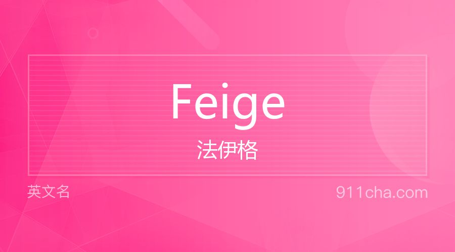 Feige 法伊格