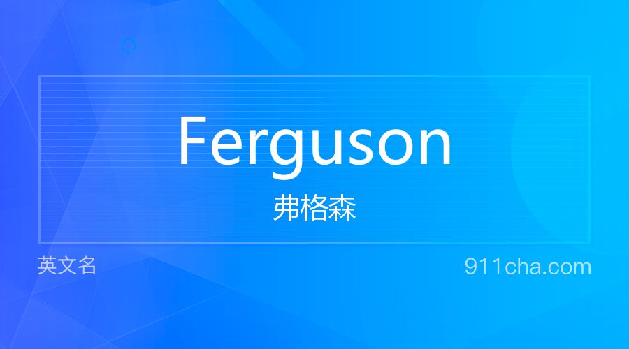 Ferguson 弗格森