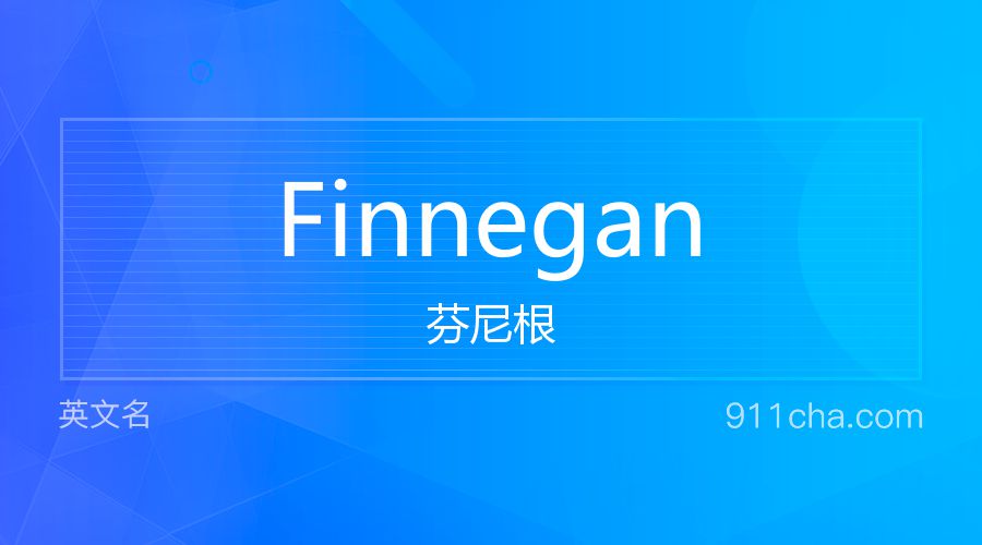 Finnegan 芬尼根