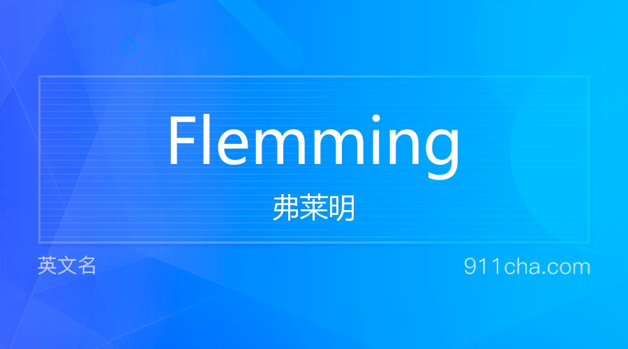 Flemming 弗莱明