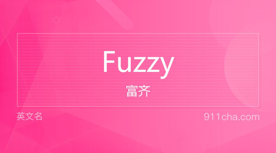 Fuzzy 富齐