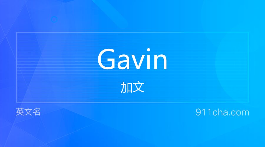 Gavin 加文