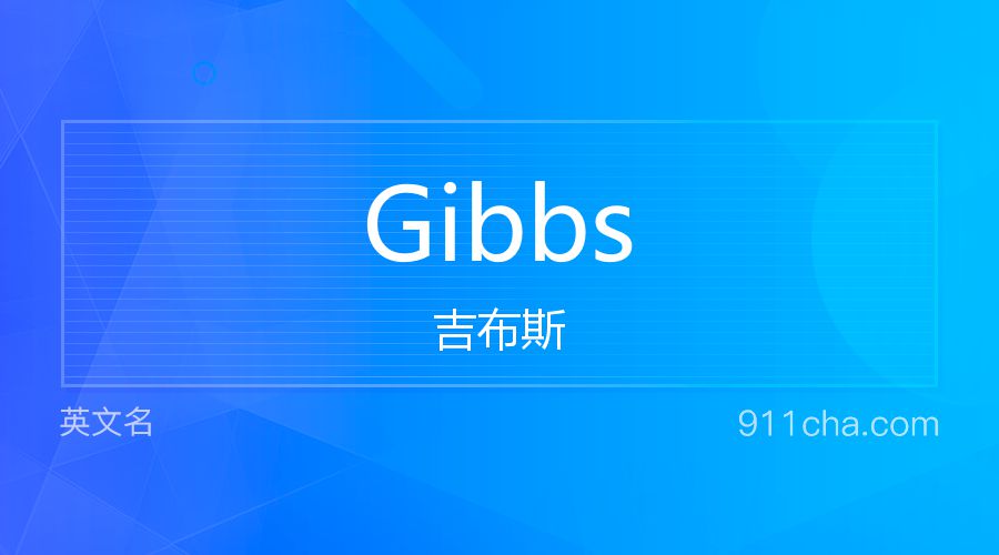 Gibbs 吉布斯