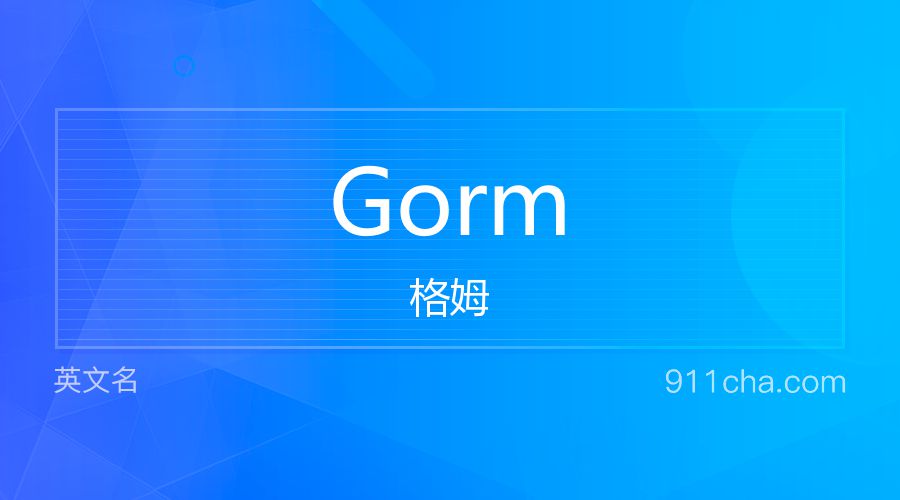 Gorm 格姆