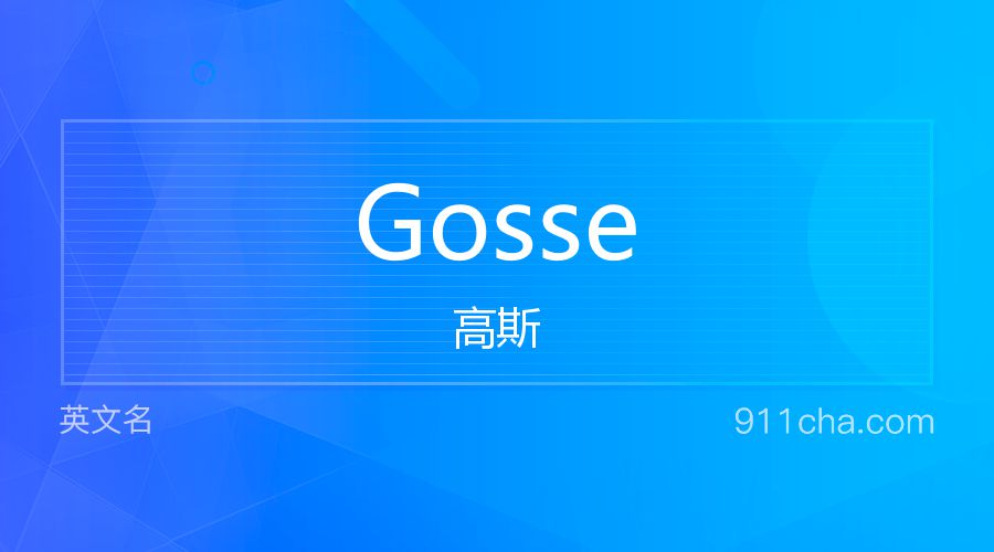 Gosse 高斯