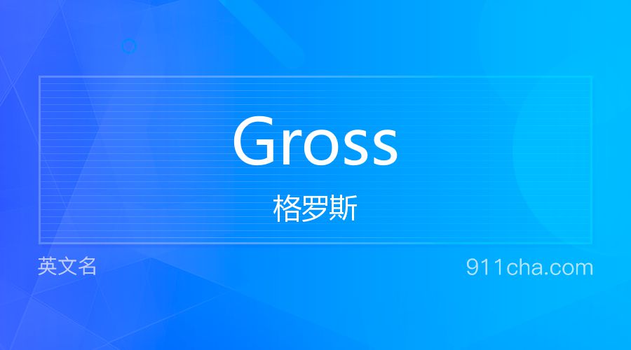 Gross 格罗斯