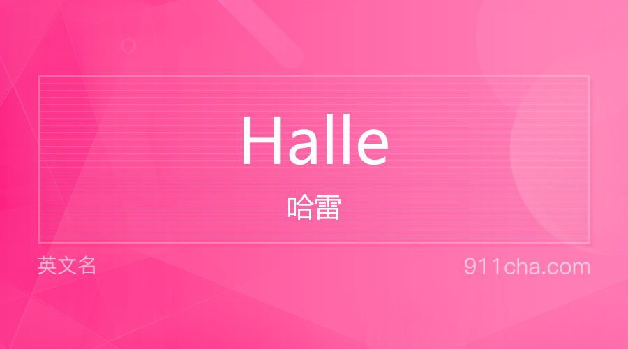 Halle 哈雷