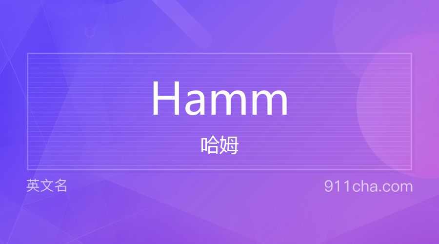 Hamm 哈姆