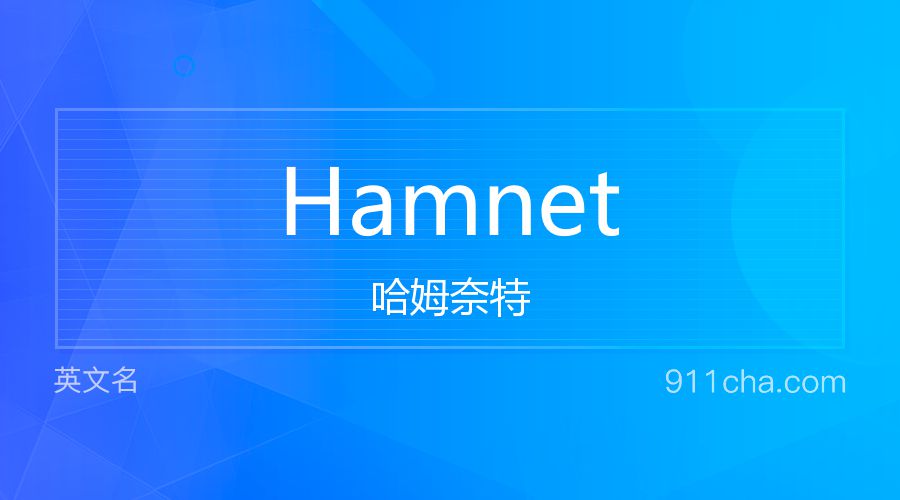 Hamnet 哈姆奈特