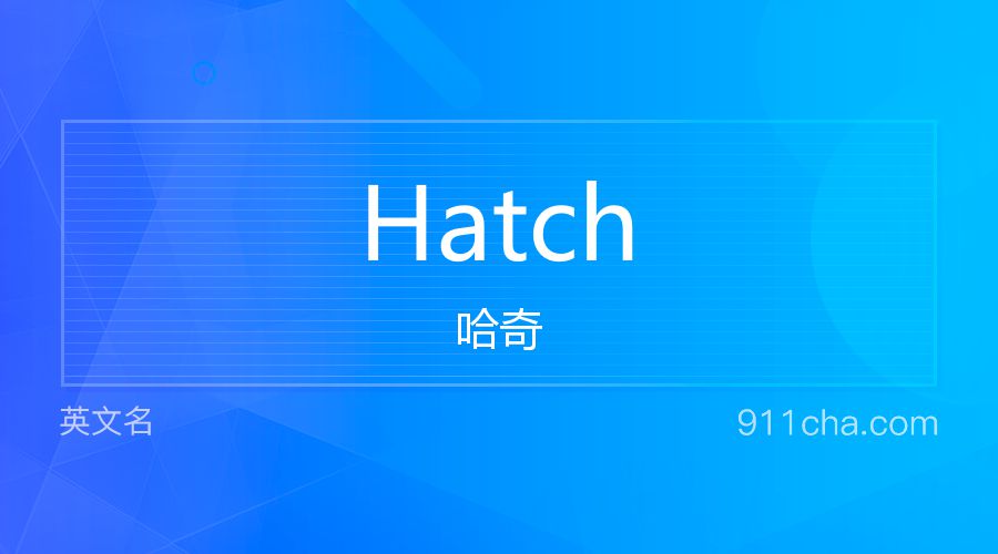 Hatch 哈奇