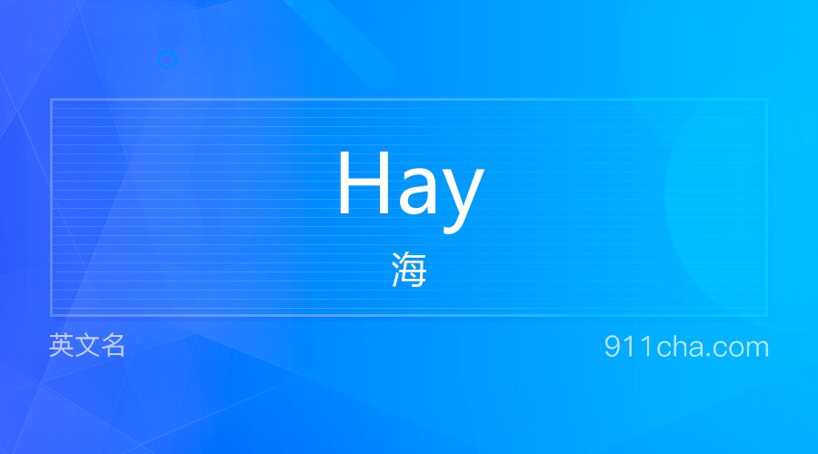 Hay 海