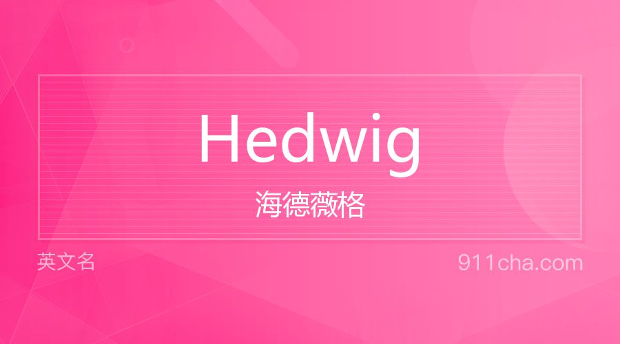 Hedwig 海德薇格