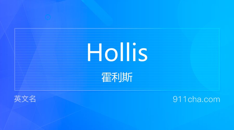 Hollis 霍利斯