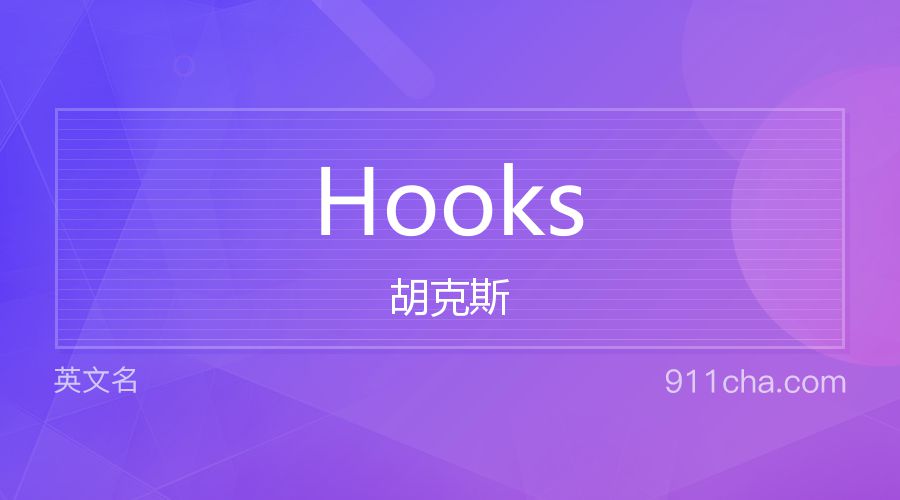 Hooks 胡克斯