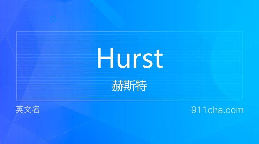 Hurst 赫斯特