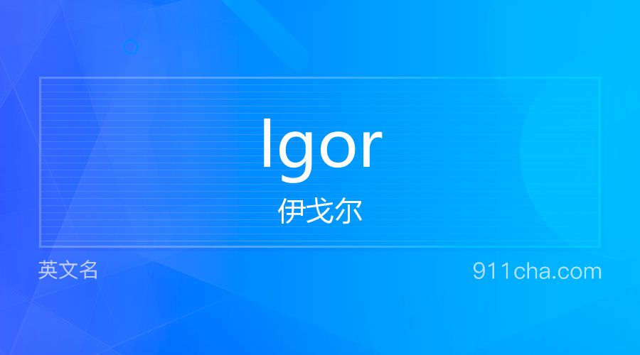 Igor 伊戈尔