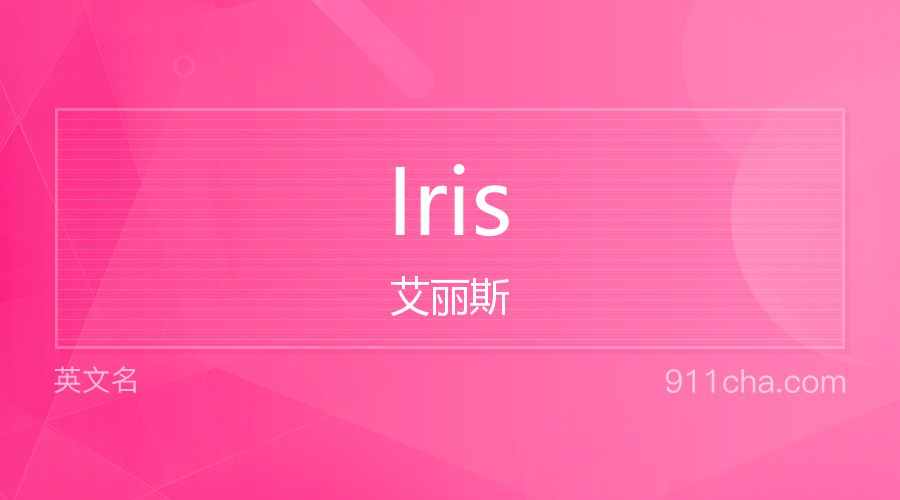 Iris 艾丽斯