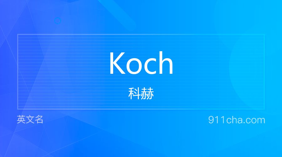 Koch 科赫