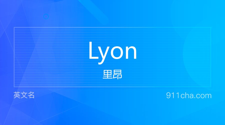 Lyon 里昂