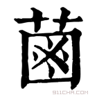 康熙字典 𦳊